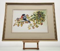 D.G Mitchell, Bullfinch & Hawthorn, watercolour, signed, paper label verso, in a glazed frame. (