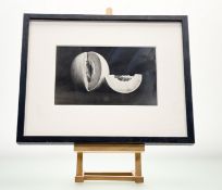 A black and white photograph of a Cantaloupe with smooth creamy white skin, in a glazed frame. (14.