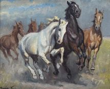 Kamillo Kolozsvary (Hungarian 1936-2008), Horses, oil on canvas, signed bottom left, inscribed