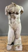 A painted moulded torso of a male nude after the Antique. 127cm.