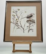 A pair of Mads Stage (Danish 1922-2004) prints each depicting a Botanical Birds perched studies,