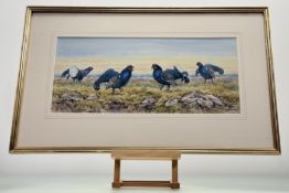 Brian Rawling (British 1931-), A Pack of Black Grouse watercolour, signed and dated '88 bottom