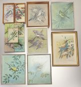 A collection of Basil Ede (British 1931-2016) varying birds prints comprising, five prints on wooden