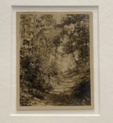 A Victorian photograph of a Charming Forrest Path, in a glazed frame. (11cmx8.5cm)