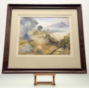 Brian Needham (British 20thc) , A Young Pheasant perched on a branch, watercolour, signed bottom