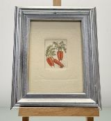 A collection of six coloured etchings of various vegetables comprising, Radishes 151/500, Tomatoes