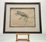 Unknown artist, a tree frog, watercolour on hand made paper in box mounted in a glazed frame. (