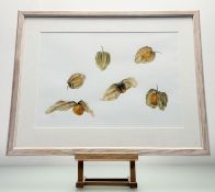 Aileen L. Friis-Jorgensen (Contemporary School), 