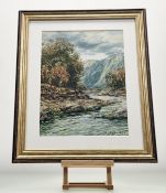 A group of two John Hamilton Glass watercolours, one of a Rocky Stream, signed bottom right, in a