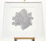 Angus Lillie, Entoptic Sediment (2010), ink on paper, paper label verso, in a glazed frame. (40.