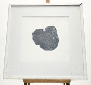Angus Lillie, Universal Algorithim 2 (2010), ink on paper, paper label verso, in a glazed frame (