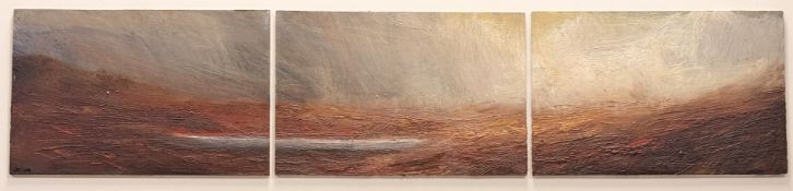 Y Jonathan Shearer (Scottish, b. 1970), Wild Day II, signed lower left and dated 2004, oil on