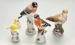 A group of Meissen porcelain models of birds, a Bullfinch, a Chaffinch and a Thrush, late 19th/