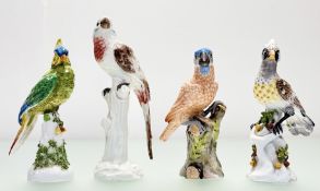 A group of three 19th century Continental porcelain models of birds perched on boughs: three