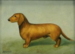 Benson (20thc British), Portrait of a Dachshund, oil on panel, signed bottom left, framed. (6.