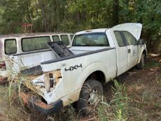 2010 Ford F-150 Pickup Truck, VIN # 1FTEX1E89AFA02124