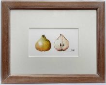 Nita Miller, watercolour, Study of a Pear, signed and dated '95, 12cm x 21cm, glazed frame