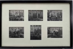 Six vintage photographic prints of the Circus including a performing Elephant, framed together, each