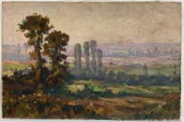 Impressionist School, oil on canvas, plein air landscape study with Elms, 27cm x 41cm, unframed