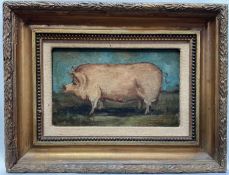 English School, oil on canvas, A Prize Pig, 12 cm x 19cm, in gilt frame