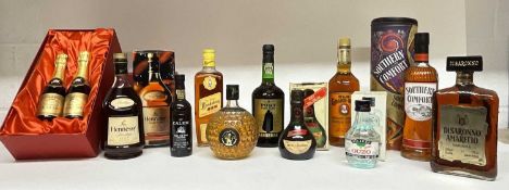 Twelve mixed bottles to include: Hennessy VSOP, Bundaberg Rum, Sandeman port, two boxed half bottles