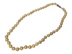 Cultured pearl single string necklace with a 9ct white gold bow shaped clasp, 42cm long