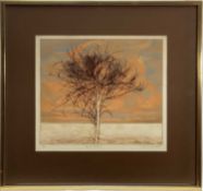 Charles Bartlett (1921 -2014) etching, Winter Willow, edition number 18/60, 30cm x 35cm, signed, wit