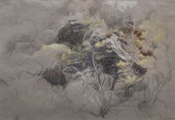 James Linnell (1820 - 1905) watercolour and chalk, In the Road from. Bettws of Ceridigion, inscribed