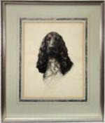 Fine English School ink and watercolour portrait of a spaniel, signed with initials E.J.H., 30cm x 2