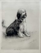 Kathleen Frances Barker (1901-1963) pencil signed etching, Old English Sheepdog, blind stamped,