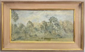 20th century oil on board, Wooded Landscape near Susa, 17.5cm x 34.5cm, signed PG, framed