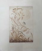 Ota Janecek (Czech, 1919-1996), reeds and flowers, colour etching, signed, 24cm x 15.5cm