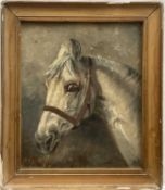 Naive school, 19th century, oil on canvas, study of a horse, 29.5cm x24cm, monogrammed, in glazed fr