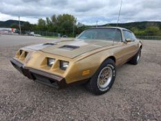 1979 Pontiac Firebird Formula - SELLING NO RESERVE