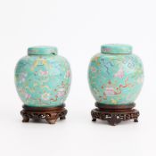 Pair Chinese Guangxu Porcelain Ginger Jars