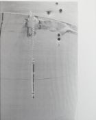 Large Print of Whistle