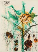 Salvador Dali "Sun Goddess Flower" Lithograph