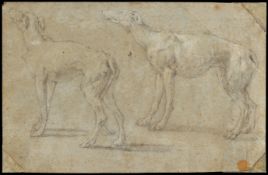 Attr. Paolo Veronese Greyhounds Graphite Drawing