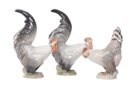 THREE ROYAL COPENHAGEN MODELS OF CHICKENS, including two cockerels and a hen, tallest 19cms (h) (