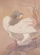 ‡ CHARLES FREDERICK TUNNICLIFFE OBE RA (1901-1979) print (from an edition of 306) - entitled