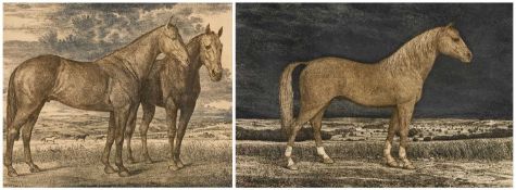 ‡ NORMAN WEBSTER (b.1924) pair of engravings - horse portraits, signed Provenance: private