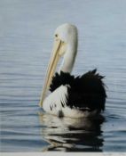 ‡ GREG POSTLE (Australian, b. 1958) limited edition (498/600) colour print - entitled 'Smooth