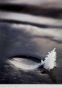 ‡ LLINOS LANINI (Welsh, contemporary) limited edition (7/50) colour photograph - floating feather,