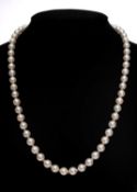 CULTURED PEARL CHOKER NECKLACE, pearls uniformly sized at 7mms (diam.), individually knotted and