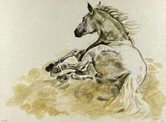 ‡ JENNIFER BRERETON artist's proof (22/50) colour print - 'Andalusian Roll', monogrammed and