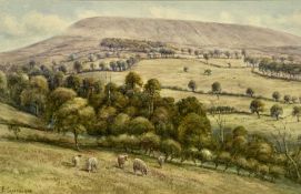 F. CAWTHORNE watercolour - landscape with sheep in foreground, signed lower left, 24.5 x 38.5cms
