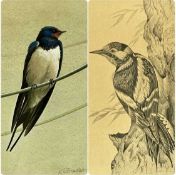 K. RICHARDSON watercolour - swallow, signed and dated lower right, 23 x 16cms; and ERIC PEAK