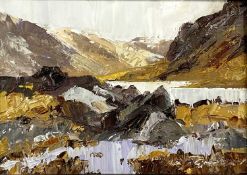 ‡ DAVID GROSVENOR (b. 1956) oil on canvas - 'Cwm Idwal I', signed, 16 x 12cms Provenance: deceased