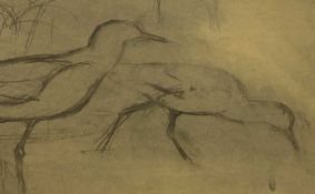 ‡ ATTRIBUTED TO CHARLES TUNNICLIFFE preparatory sketch - two wading birds, unsigned, 28 x 43cms