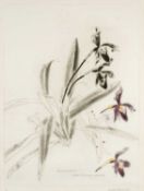 ‡ ELIZABETH BLACKADDER (Scottish, 1931-2021) limited edition (30/50) etching with colour - Irises (